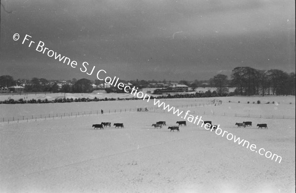 RATHFARNHAM CASTLE GROUNDS IN THE SNOW